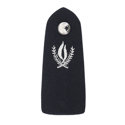 Shoulder Board Army Sample 4