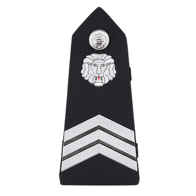 Shoulder Board Army Sample 3