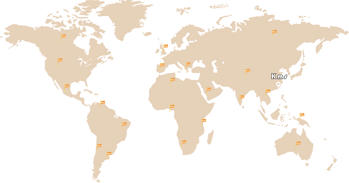 GLOBAL PROJECT